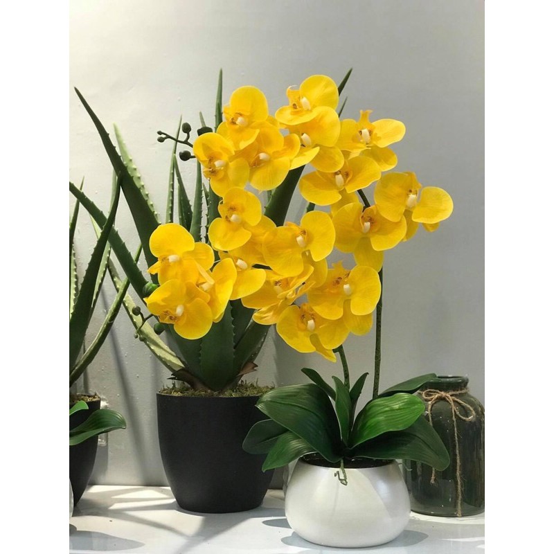 Cành lan hồ điệp cao su 9 bông cao cấp