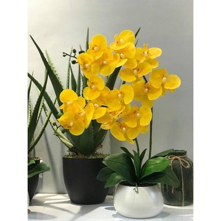 Decor bình hoa lụa trang trí lọ hoa lan hồ điệp nhập khẩu quà tặng