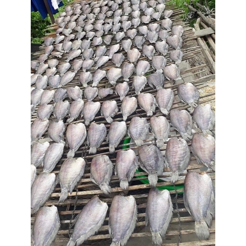 Khô Cá Sặc Bổi An Giang 1KG