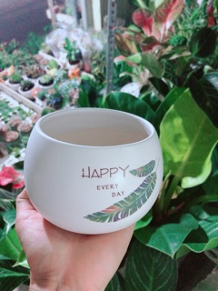 Chậu Trồng Cây