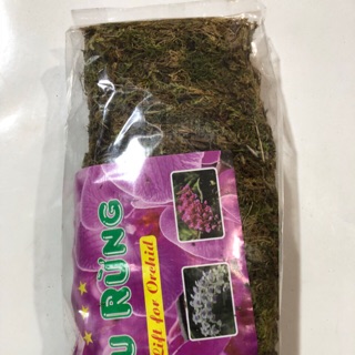 GIÁ THỂ TRỒNG LAN RÊU RỪNG