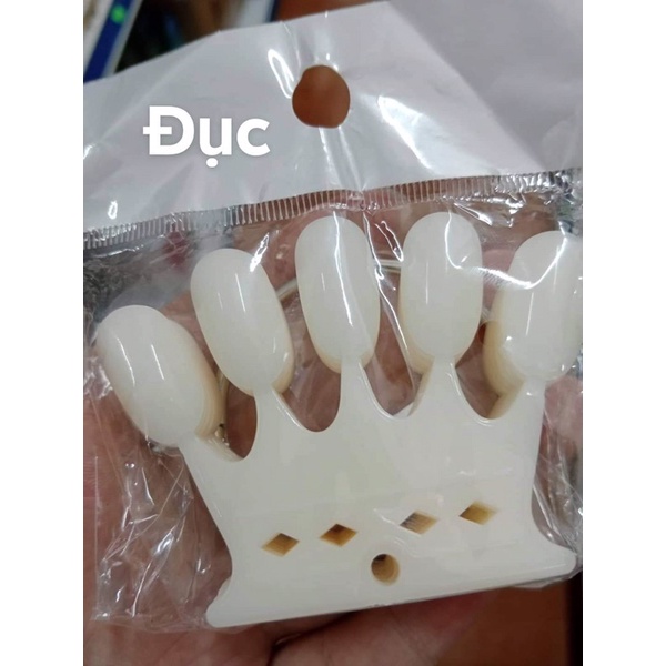 Móng vỉ vương miện - phụ kiện làm nail