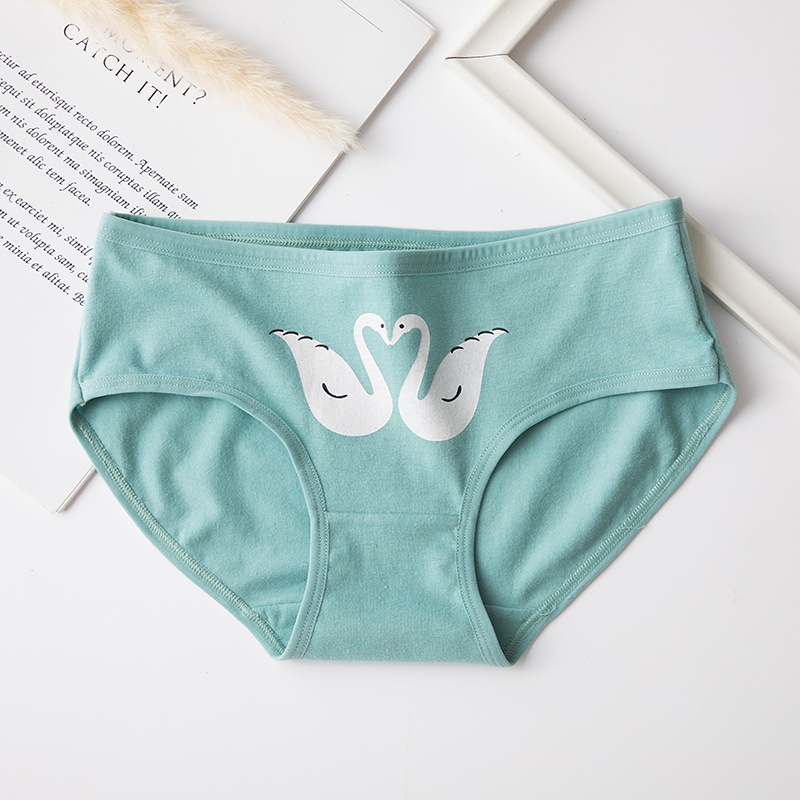 Set 5 quần lót nữ cotton NuciFera mẫu họa tiết Angel