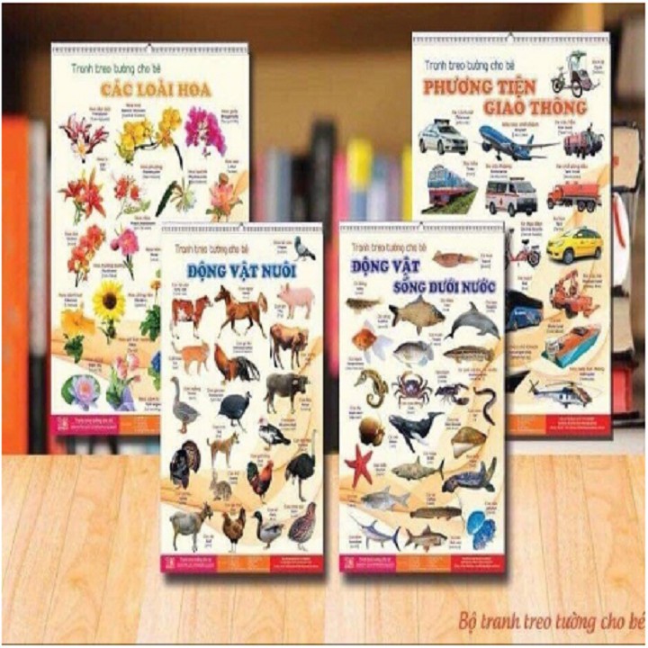 BỘ TRANH TREO TƯỜNG 14 CHỦ ĐỀ VỀ THẾ GIỚI XUNG QUANH CHO TRẺ TỪ 6 THÁNG TUỔI