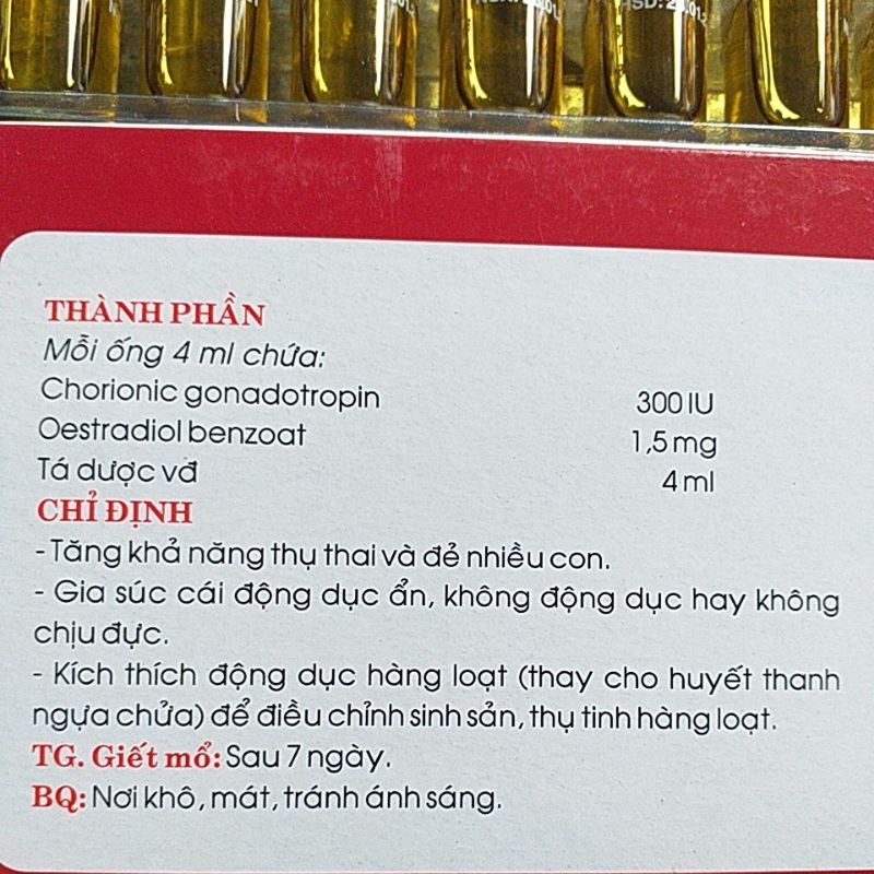 Gona estrol cho gia súc cái chó mèo lợn trâu bò dê thú y, thú cưng