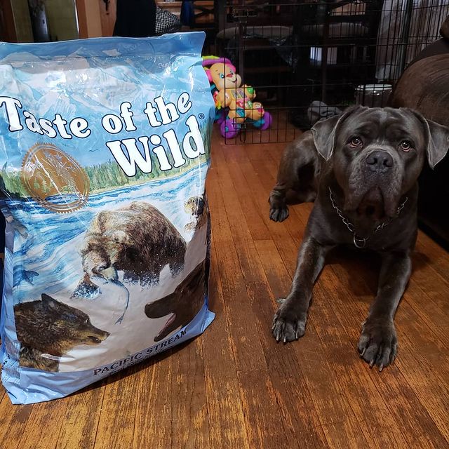 Thức Ăn Cho Chó Rottweiler Taste Of The Wild Bao 500g - Thức Ăn Cho Chó, Vị Cá Hồi Xông Khói, Rau Củ Quả