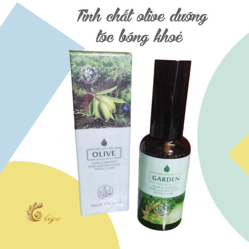 Tinh chất dưỡng, phục hồi tóc hư tổn OLIVE