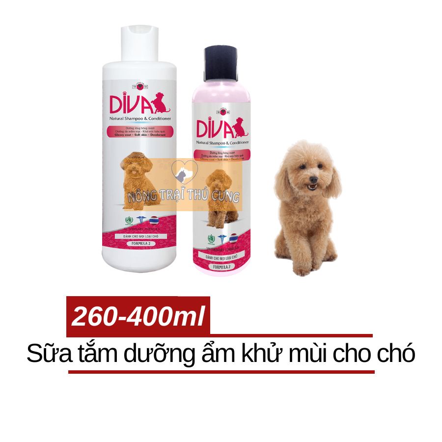 Sữa Tắm DIVA Hồng Dưỡng Ẩm Khử Mùi - Phù Hợp Poodle, Chihuahua, Phốc Sóc, Bichon