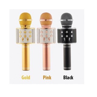 Mic karaoke WS-858