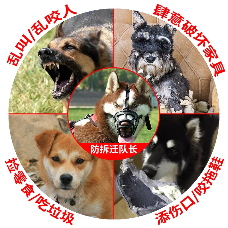 rọ mõm cao cấp dành cho chó