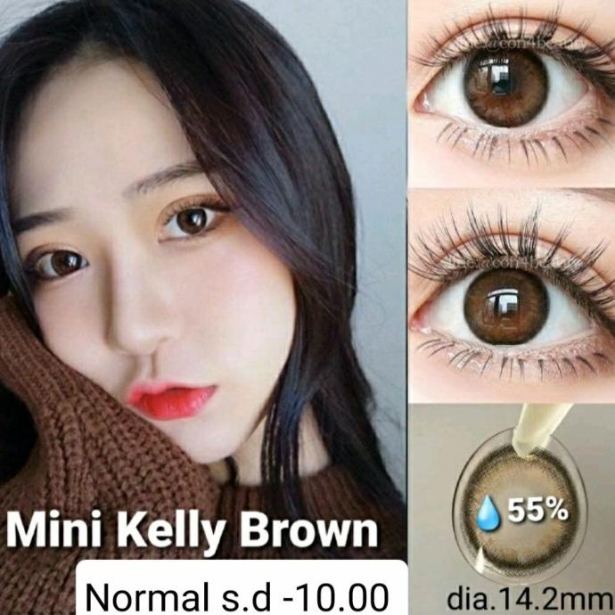 Kính Kelly Màu Xám/Nâu S.D 6.00 Hàn Quốc | BigBuy360 - bigbuy360.vn