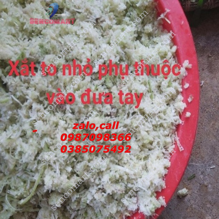 Máy xay cây chuối xay cỏ voi cho trâu,bò,dê,gà