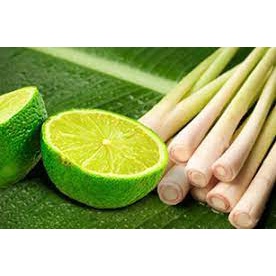 Tinh Dầu Treo Xe Thiên Nhiên Xả Chanh