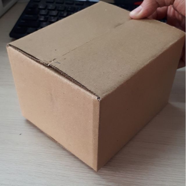100 Hộp carton 25x15x10