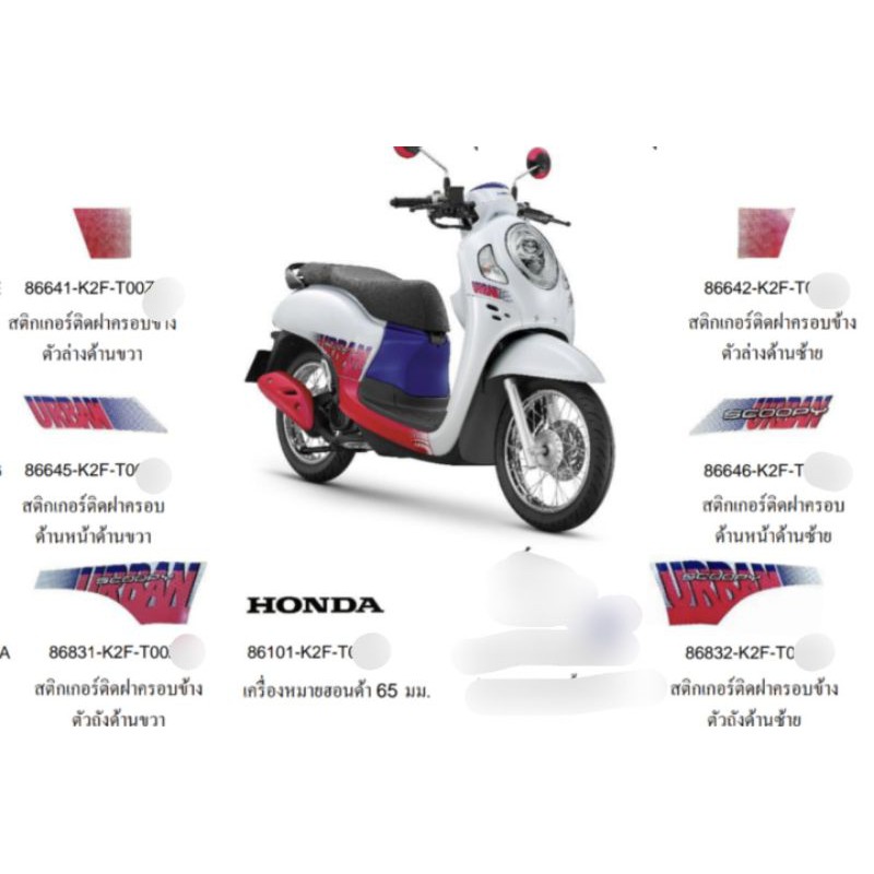 Tem Scoopy 2021 Urban Team