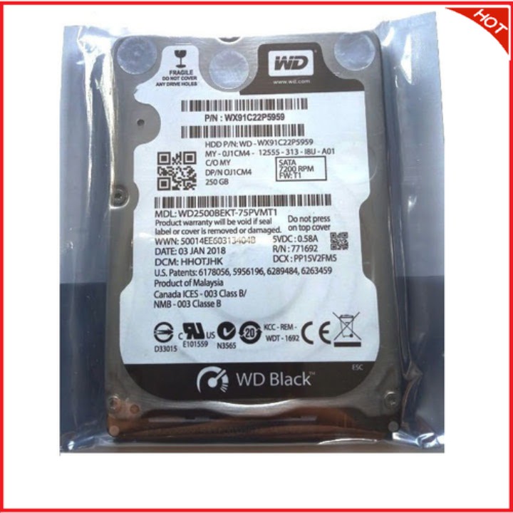 ổ cứng hdd laptop 250G | BigBuy360 - bigbuy360.vn