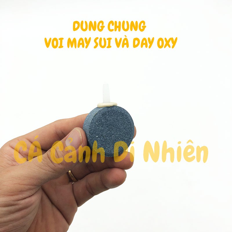 Đĩa sủi oxy siêu mịn đường kính 4 cm cho hồ cá cảnh - Đá sủi AIR STONE