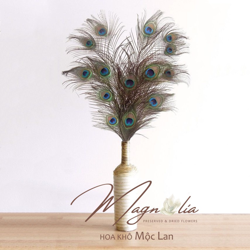 Peacock Feather ❤️FREESHIP❤️ Hoa decor lông vũ, chụp ảnh sản phẩm, phụ kiện trang trí cắm hoa