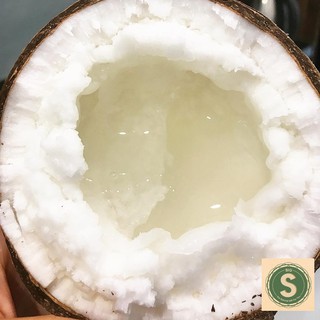 Dừa sáp đặc ruột tại vườn/big s food