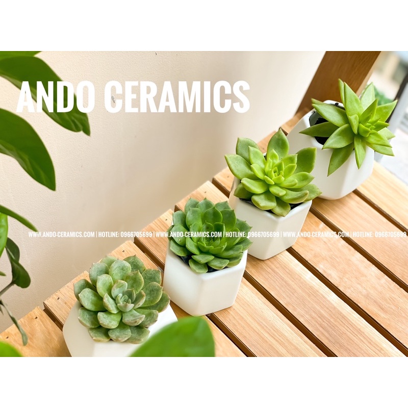 CHẬU CÂY MINI BẰNG SỨ TRẮNG MEN MÁT HÀNG BÁT TRÀNG DECOR XINH XẮN