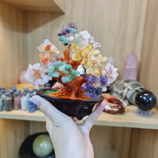 Cây Tài Lộc Đá Mang Lại May Mắn Tùy Chọn Màu Sắc Theo Bản Mệnh - Hàng Cao Cấp