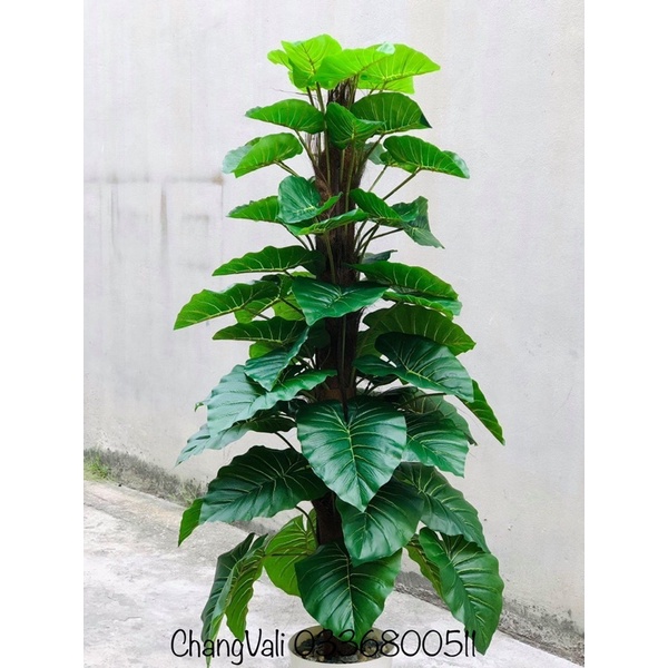 Cây Trầu Bà 1,6m 63 lá-cây giả HÀNG SỊN-ĐẸP GIỐNG THẬT99%