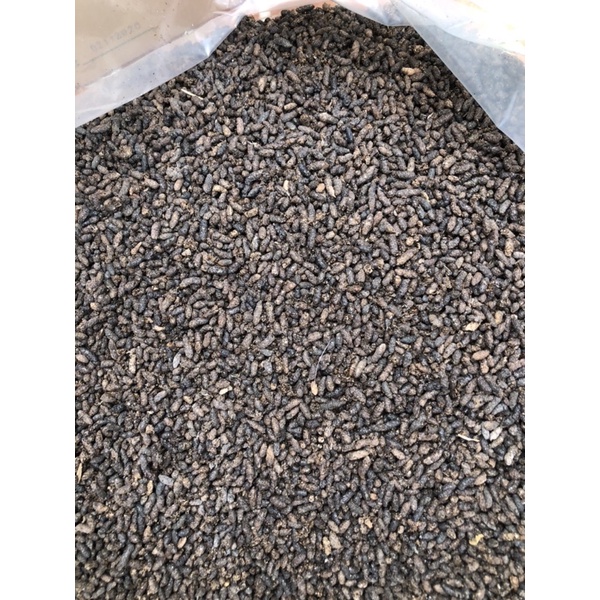 Phân dơi khô nguyên chất 1kg