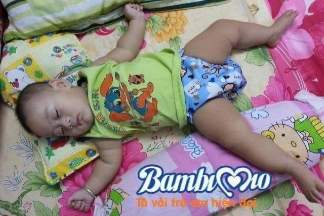 Bỉm vải Bambimio (bỉm đêm) size3-16kg