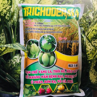 Chế phẩm phân huỷ rơm rạ, ủ phân vi sinh nấm đối kháng Trichoderma