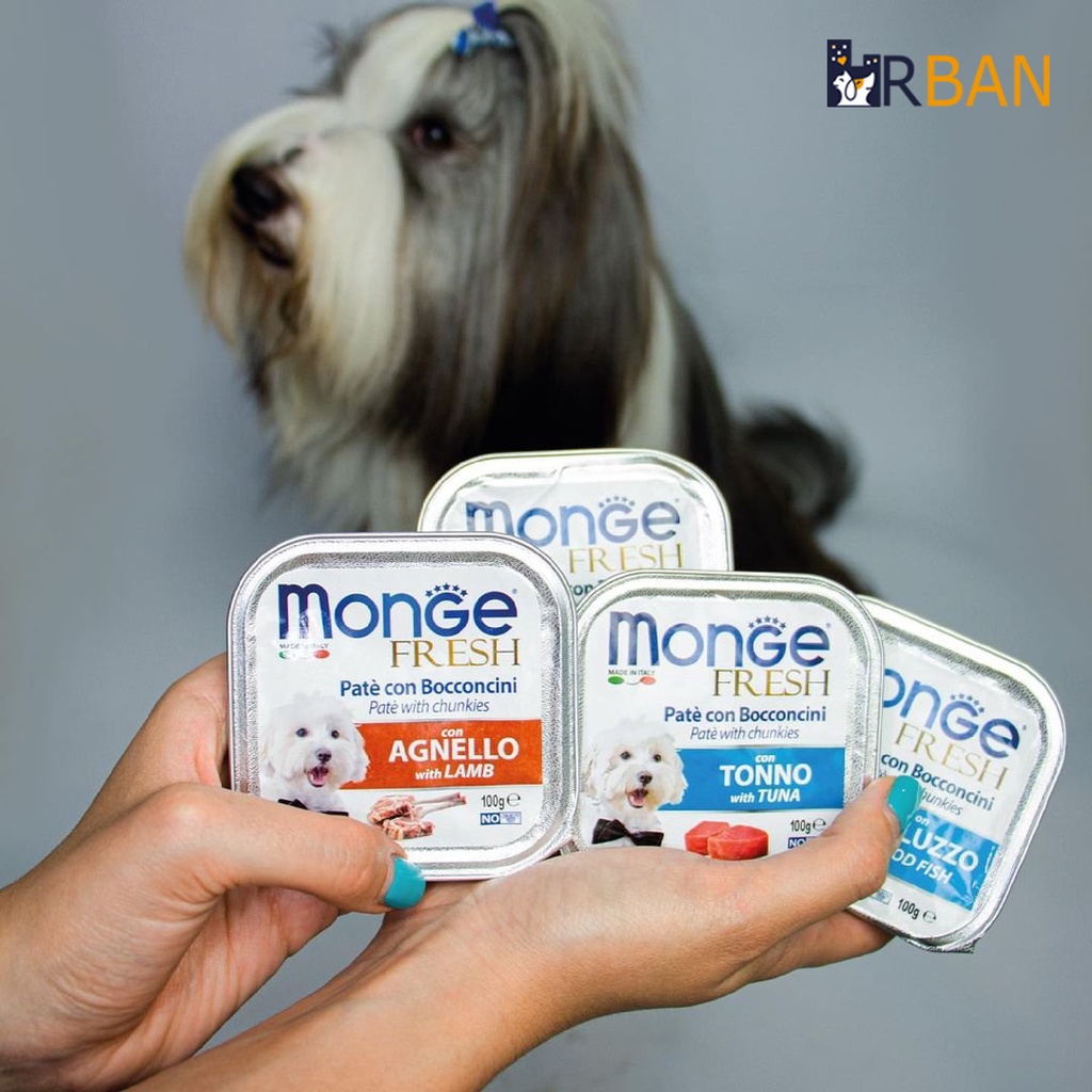 PATE MONGE CHO CHÓ - MONGE FRESH, MONGE FRUIT FOR DOG