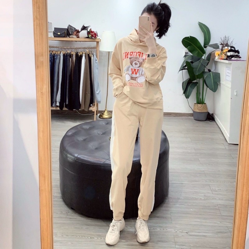 sét bộ gấu thể thao da cá tay dài