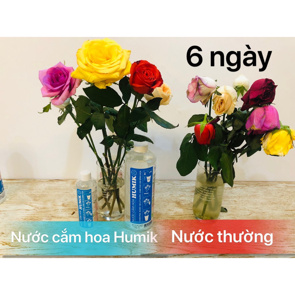 Combo 02 chai nước cắm hoa Humik công nghệ ion đồng 250ml