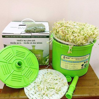 Máy Làm Giá Đỗ Bách Khoa BKIDT