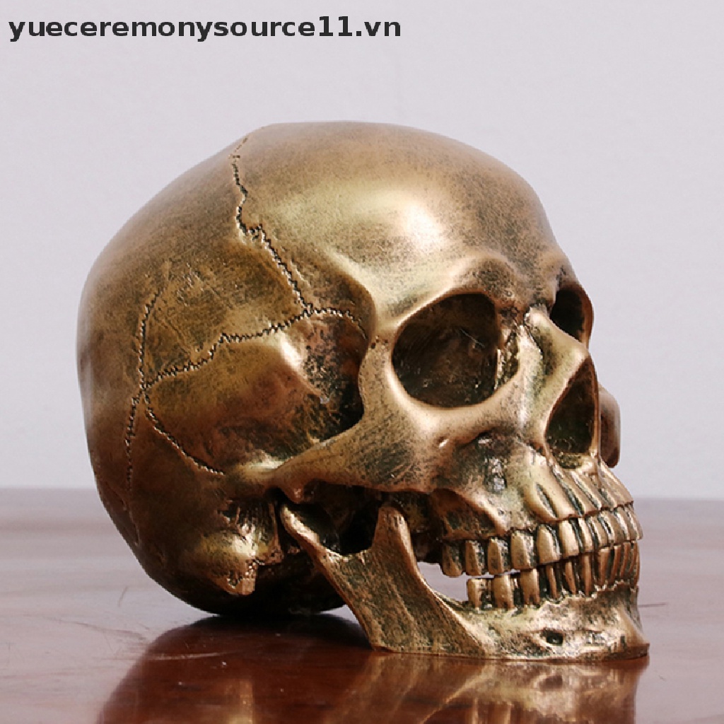 Mô Hình Đầu Lâu Bằng Nhựa Resin Đồng Tỉ Lệ 1: 1 Trang Trí Halloween