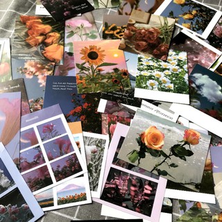 Postcard phong cảnh 10 tấm (006)