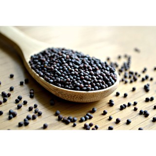 [HÀNG CHÍNH HÃNG] Hạt Mù Tạt Đen – Black Mustard Seed
