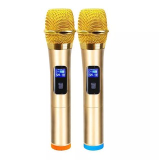Bộ 2 micro không dây UHF Shengfu