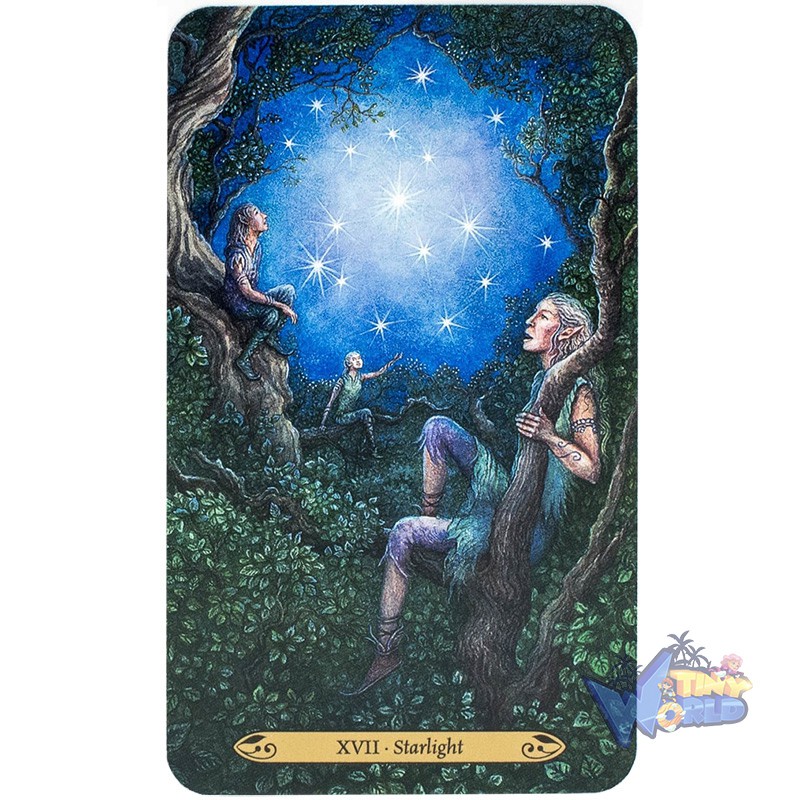 Bộ Bài Forest of Enchantment Tarot Nifoki E3