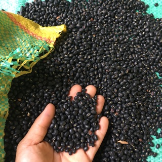 1kg Đậu đen xanh lòng Đăk Lăk