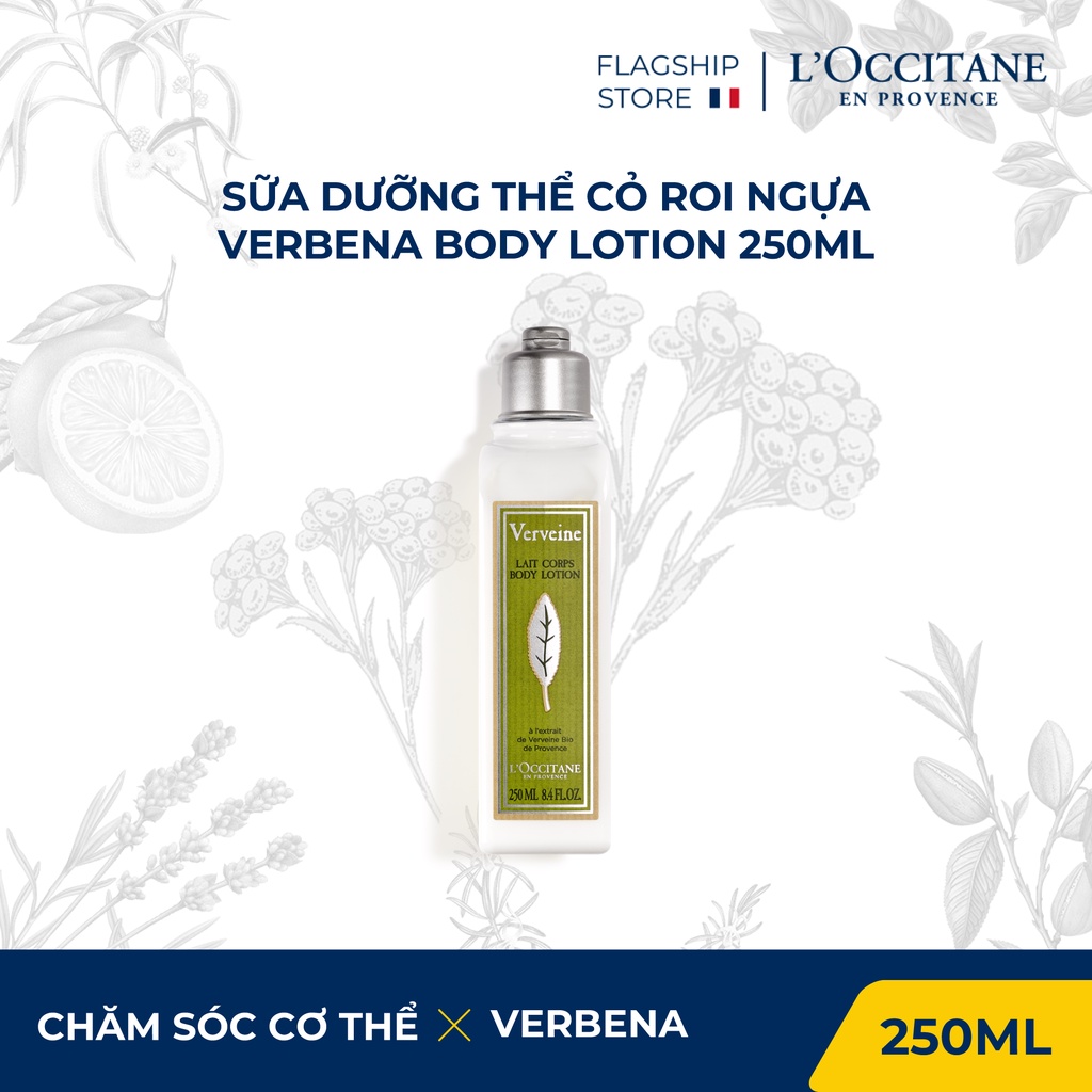 Sữa dưỡng thể chiết xuất Cỏ Roi ngựa 250ml L'Occitane