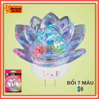 Đèn ngủ hoa sen 7 màu