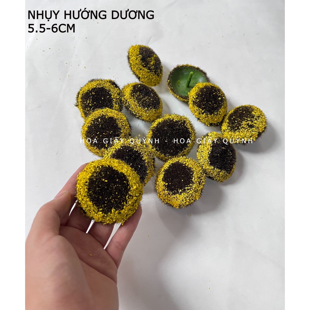 10 NHỤY HƯỚNG DƯƠNG 5.5CM