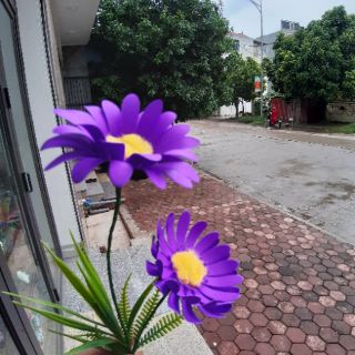 Combo nguyên liệu làm hoa cúc