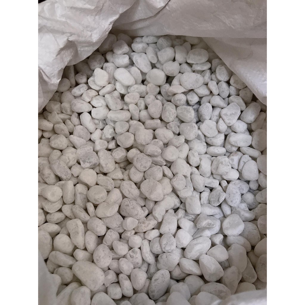 Sỏi trắng trải nền bể cá 1kg