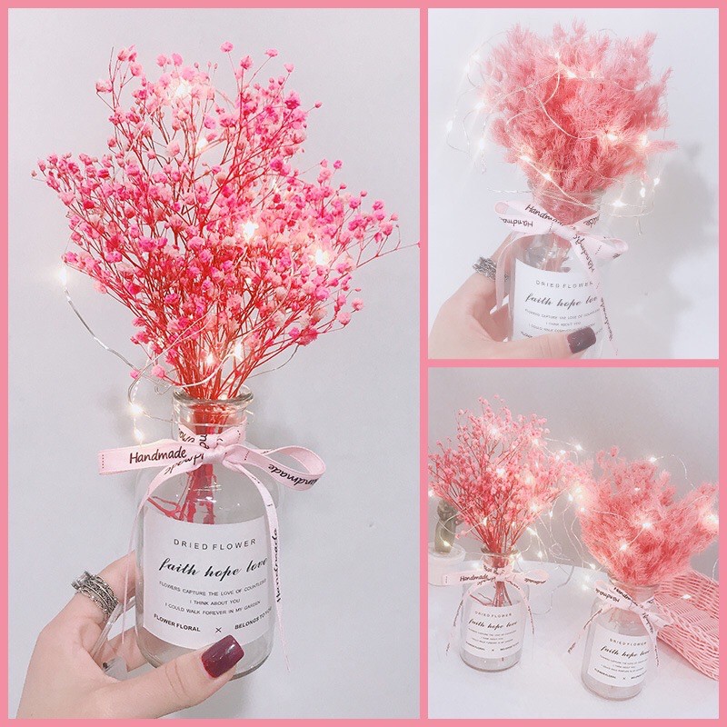 Bình hoa khô được làm từ hoa tự nhiên đã qua xử lý kèm dây điện và nơ