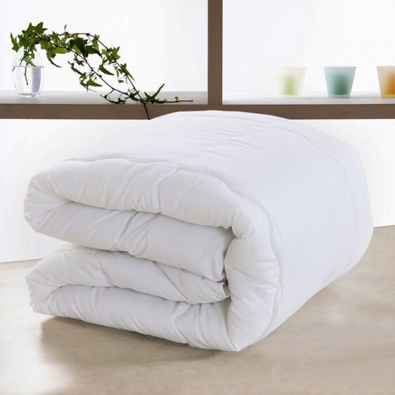 Ruột chăn đông Sông Hồng- Hàng chính hãng