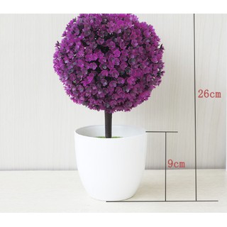 Hoa cẩm tú cầu nhựa
