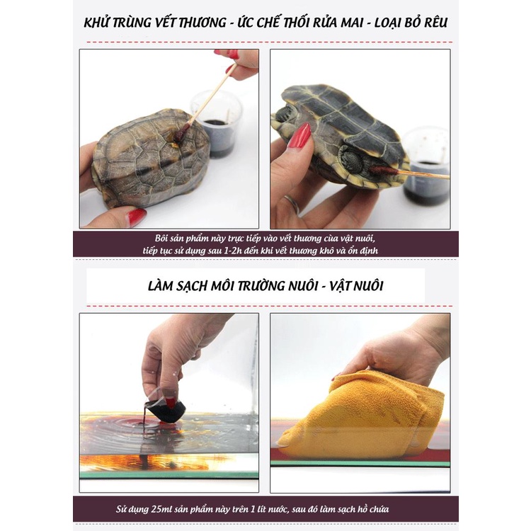 Dung Dịch Iốt Povidone 5% | Sát Trùng - Chữa Lành Vết Thương Dành Cho Bò Sát (Rùa, Rắn, Iguana...)