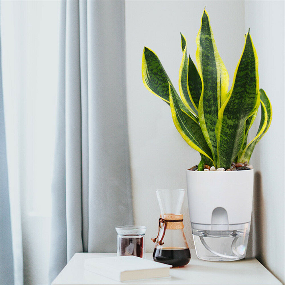 Chậu trồng cây tự tưới nước 2 lớp tiện lợi chất lượng cao