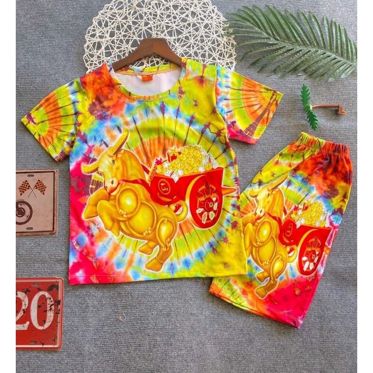 Bộ tay ngắn quần đùi thun 3d hàng shop cho bé size đại